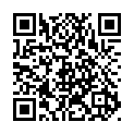 To view this 2012 Chevrolet Malibu Lubbock TX from Adobe Auto Sales, please scan this QR code with your smartphone or tablet to view the mobile version of this page.