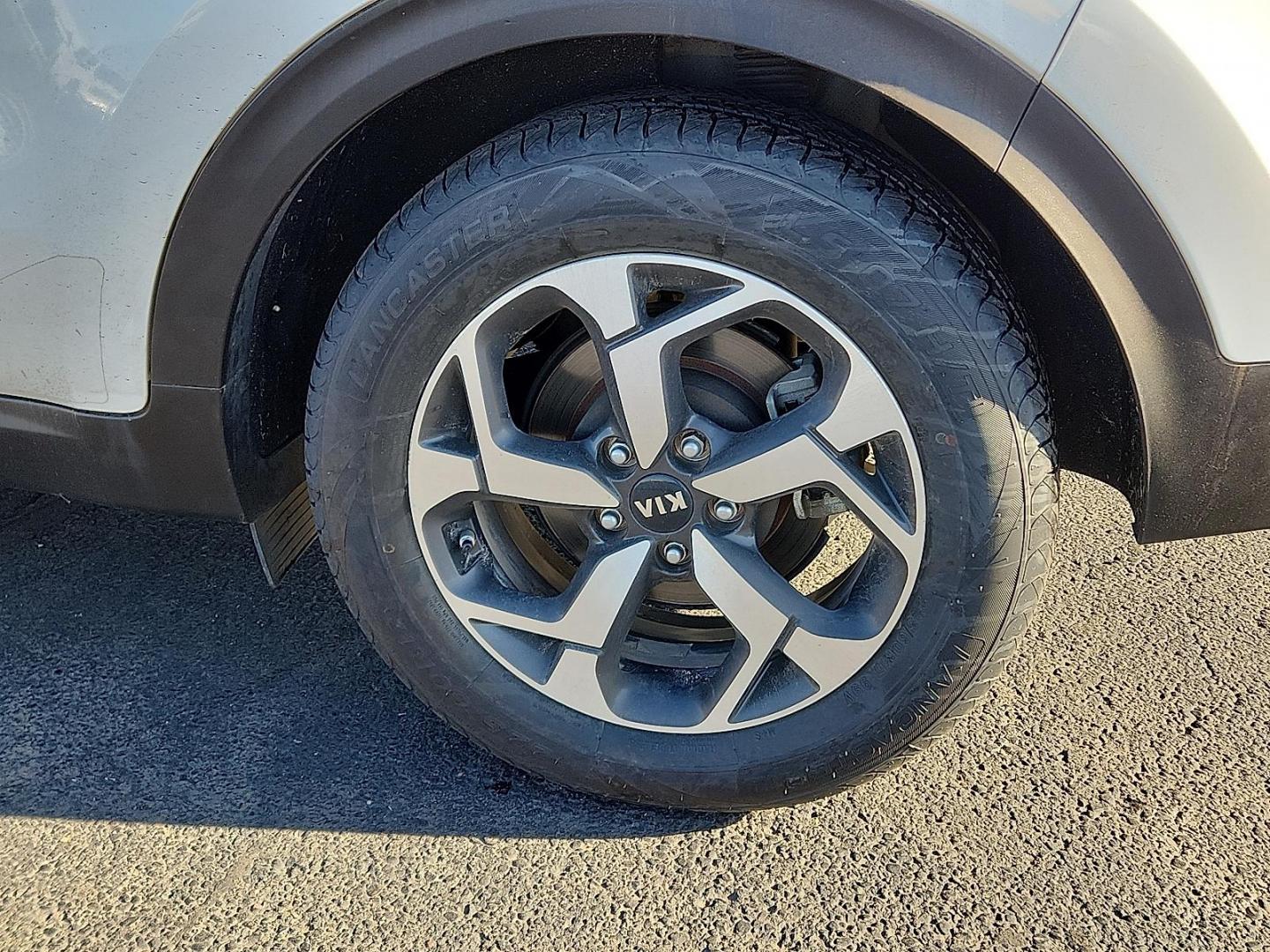 2021 WHITE Kia Sportage LX (KNDPM3AC5M7) with an Theta II 2.4L I-4 gasoline direct injection, DOHC, D-CVVT variable valve control, regular unleaded, engine with 181HP engine, located at 4711 Ave Q, Lubbock, TX, 79412, (806) 687-2362, 33.551304, -101.855293 - Photo#6