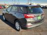 2019 GRAY Chevrolet Equinox LS (2GNAXSEV7K6) with an 1.5L I-4 gasoline direct injection, DOHC, VVT variable valve control, intercooled turbo, regular unleaded, engine with 170HP engine, located at 4711 Ave Q, Lubbock, TX, 79412, (806) 687-2362, 33.551304, -101.855293 - Photo#2