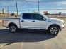 2019 SILVER Ford F-150 XL (1FTEW1E51KK) with an 5L V-8 port/direct injection, DOHC, variable valve control, regular unleaded, engine with 395HP engine, located at 4711 Ave Q, Lubbock, TX, 79412, (806) 687-2362, 33.551304, -101.855293 - Photo#4