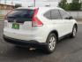 2014 WHITE /Beige - BE Honda CR-V EX-L (5J6RM3H71EL) with an 2.4L I-4 DOHC, i-VTEC variable valve control, regular unleaded, engine with 185HP engine, located at 4711 Ave Q, Lubbock, TX, 79412, (806) 687-2362, 33.551304, -101.855293 - Photo#3