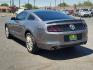 2013 GRAY /Charcoal Black - 1W Ford Mustang V6 (1ZVBP8AM7D5) with an 3.7L V-6 DOHC, Ti-VCT variable valve control, regular unleaded, engine with 305HP engine, located at 4711 Ave Q, Lubbock, TX, 79412, (806) 687-2362, 33.551304, -101.855293 - Photo#2