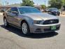 2013 GRAY /Charcoal Black - 1W Ford Mustang V6 (1ZVBP8AM7D5) with an 3.7L V-6 DOHC, Ti-VCT variable valve control, regular unleaded, engine with 305HP engine, located at 4711 Ave Q, Lubbock, TX, 79412, (806) 687-2362, 33.551304, -101.855293 - Photo#5