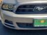 2013 GRAY /Charcoal Black - 1W Ford Mustang V6 (1ZVBP8AM7D5) with an 3.7L V-6 DOHC, Ti-VCT variable valve control, regular unleaded, engine with 305HP engine, located at 4711 Ave Q, Lubbock, TX, 79412, (806) 687-2362, 33.551304, -101.855293 - Photo#7